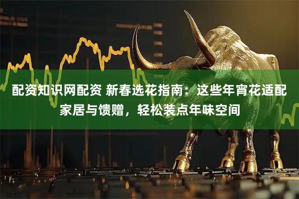 配资知识网配资 新春选花指南：这些年宵花适配家居与馈赠，轻松装点年味空间