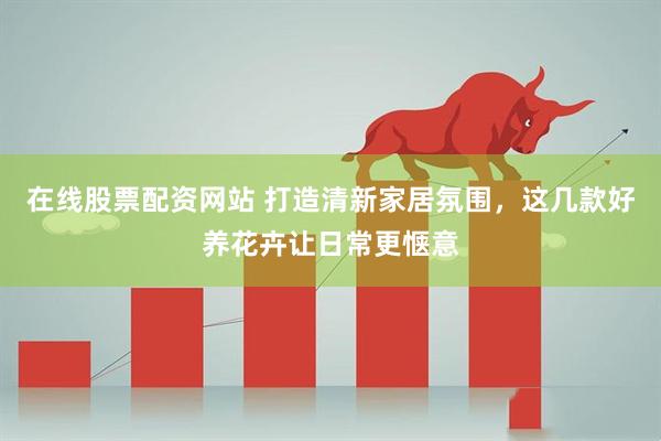 在线股票配资网站 打造清新家居氛围，这几款好养花卉让日常更惬意